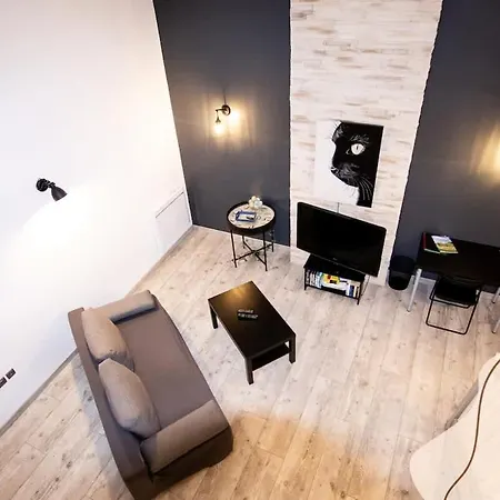 Appartement Le Grenier, De Charme, Centre De *